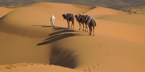 The Sahara, Morocco (March 2016)