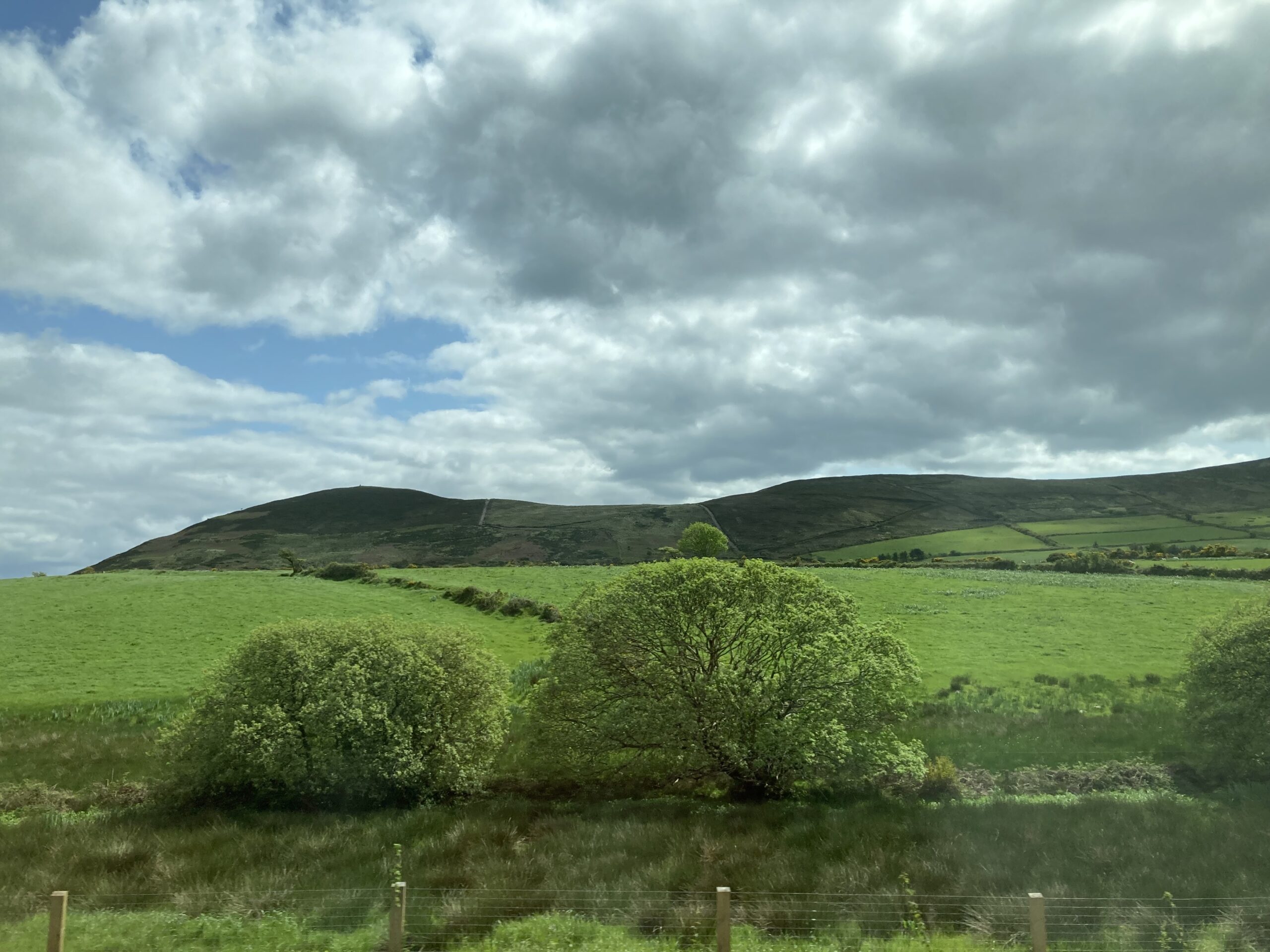 Scenes from the Emerald Isle (May 2023) - Postcards from Adele