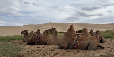 Mongolia (June 12-28, 2026)